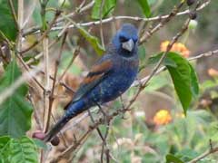 View from Pasaj-Cap vacation rental